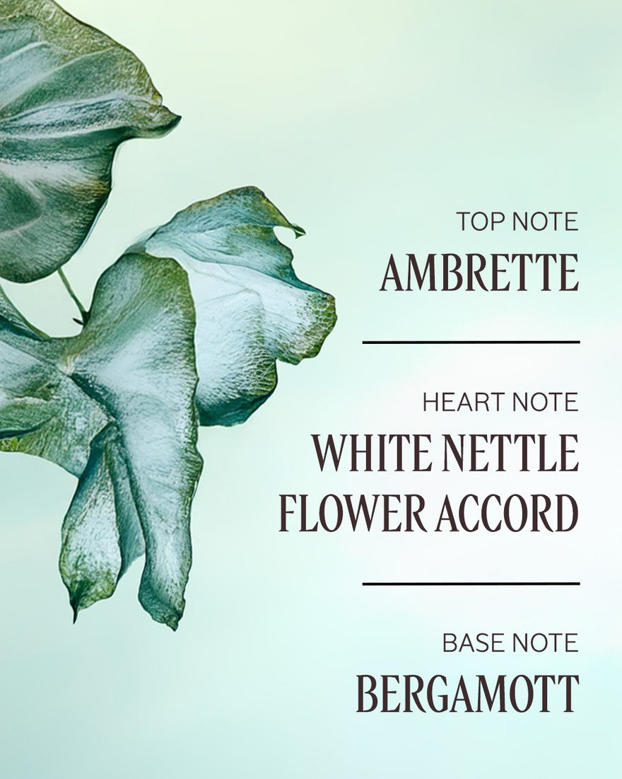 Sữa Tắm L'OCCITANE Ortie Blanche Perfumed Shower Gel