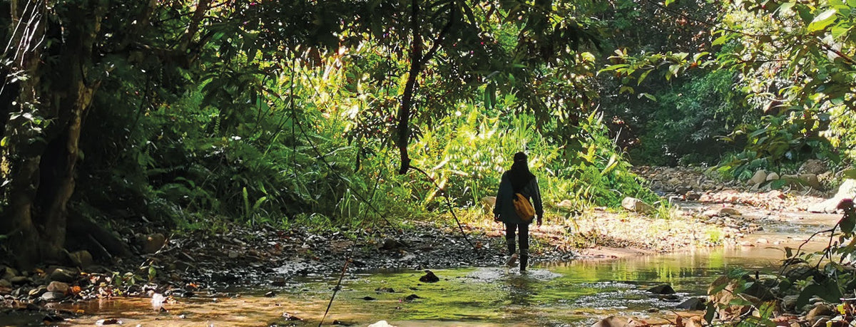 Tạp Chí American Scientist (USA) Magazine #July / August 2025