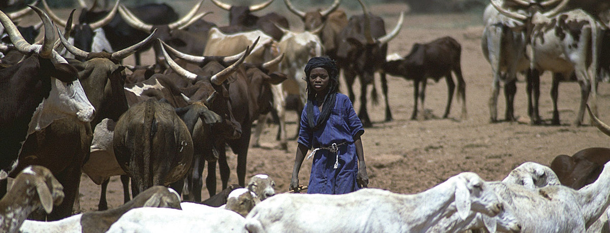 Tạp Chí American Scientist (USA) Magazine #July / August 2025