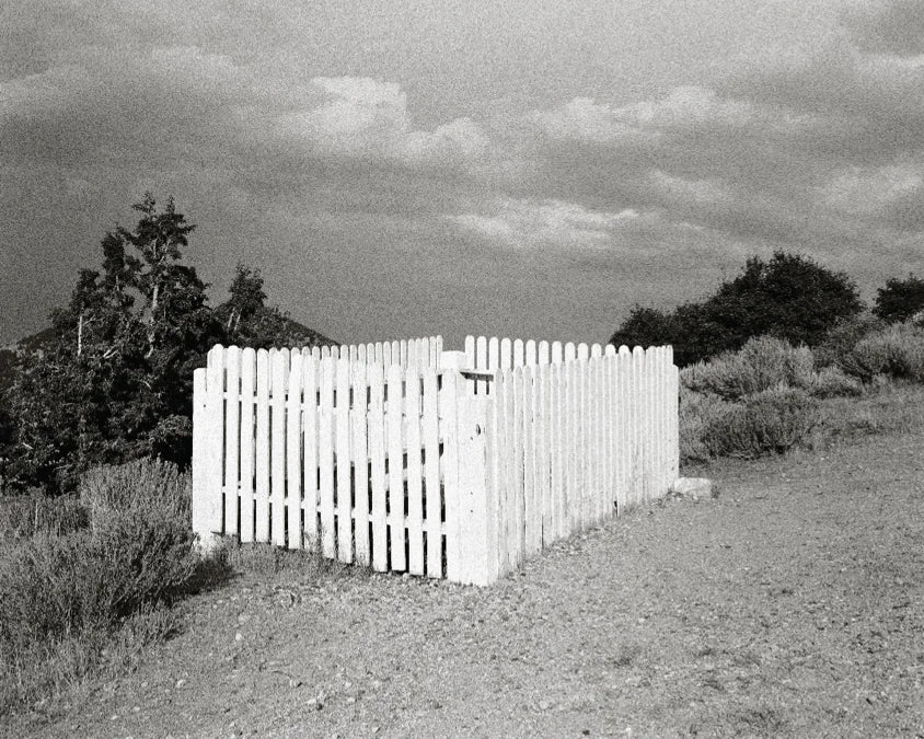 Tạp Chí Aperture Magazine #Issue 261 - Winter 2025