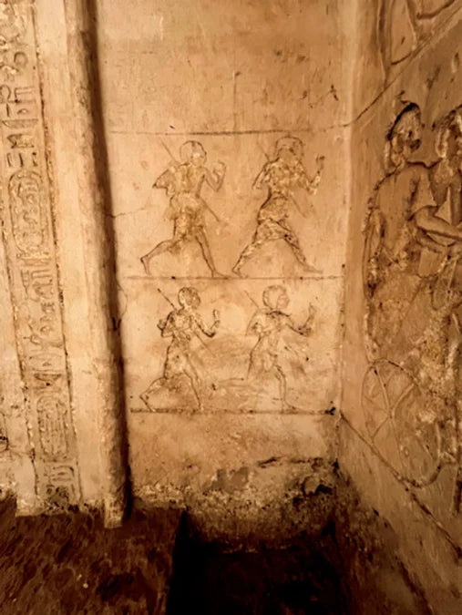 Tạp Chí Archaeology (USA) Magazine #January / February 2026