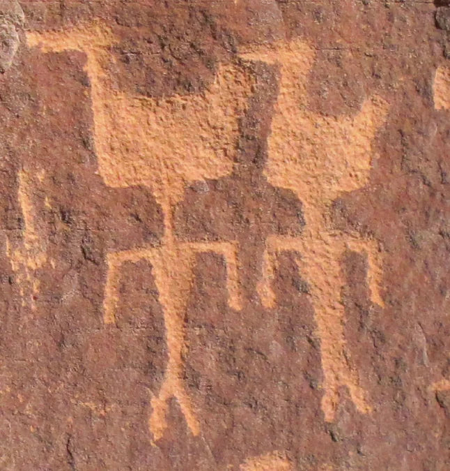 Tạp Chí Archaeology (USA) Magazine #September / October 2025-Kallos