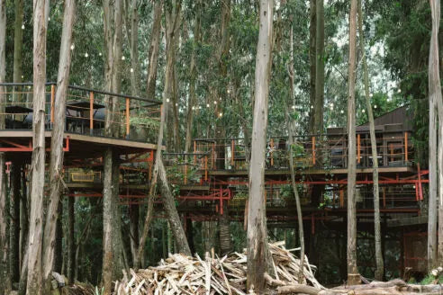 Tạp Chí Architectural Review Magazine #November 2025-Kallos