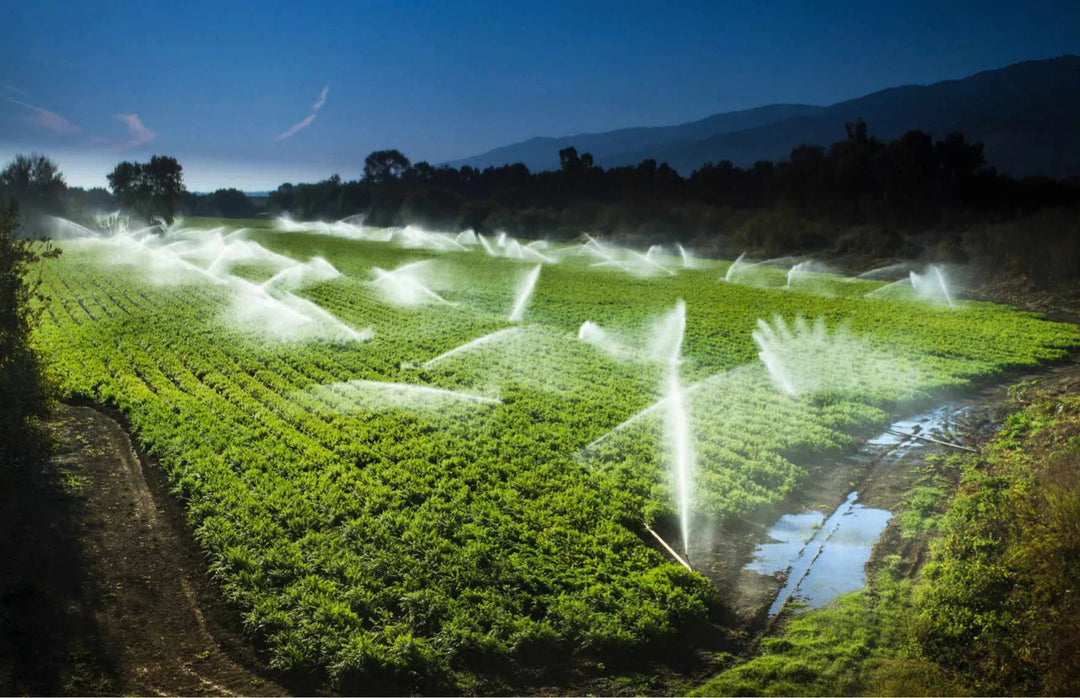 Tạp Chí BBC Science Focus (USA) Magazine #New Year 2025