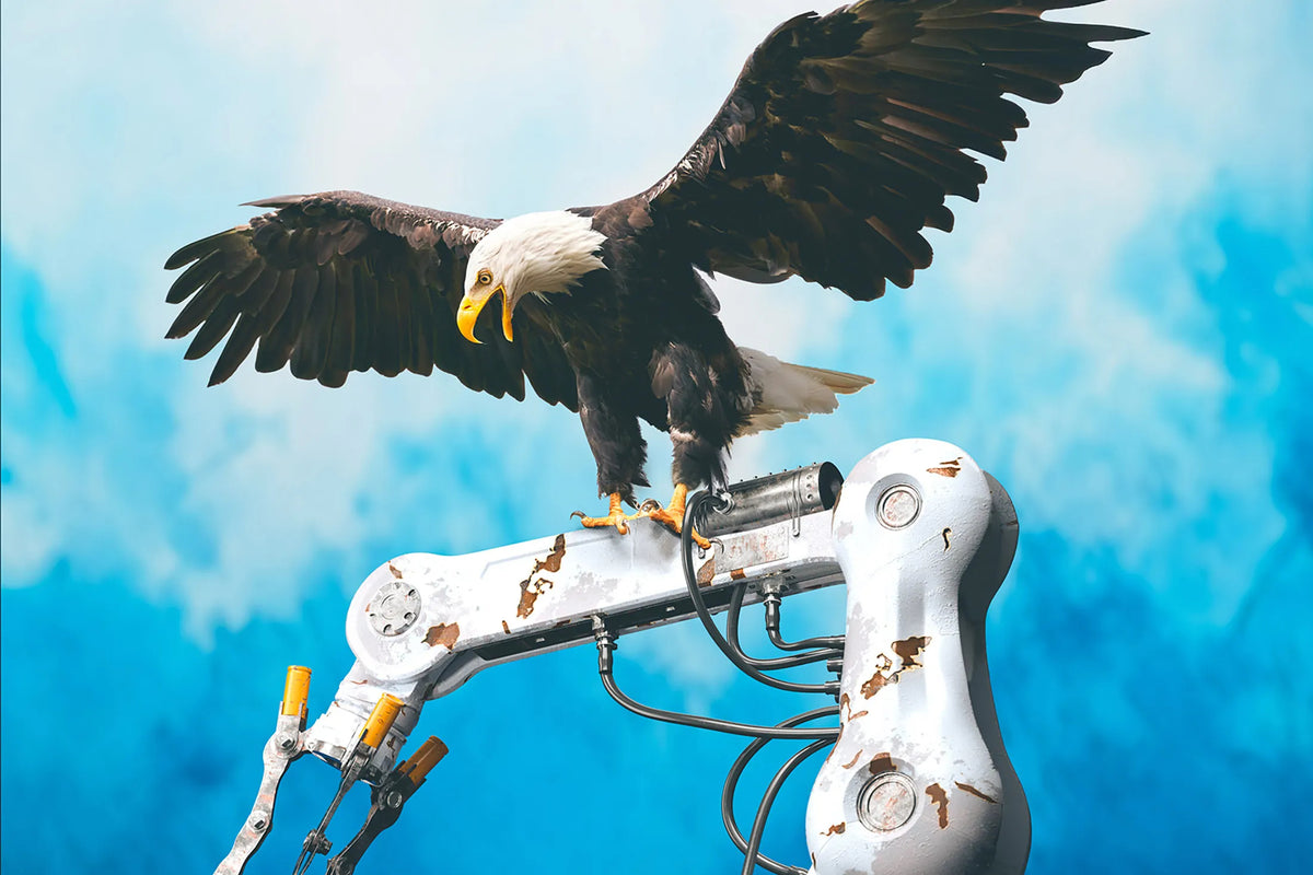 Tạp Chí Bloomberg Businessweek Magazine #May 2025
