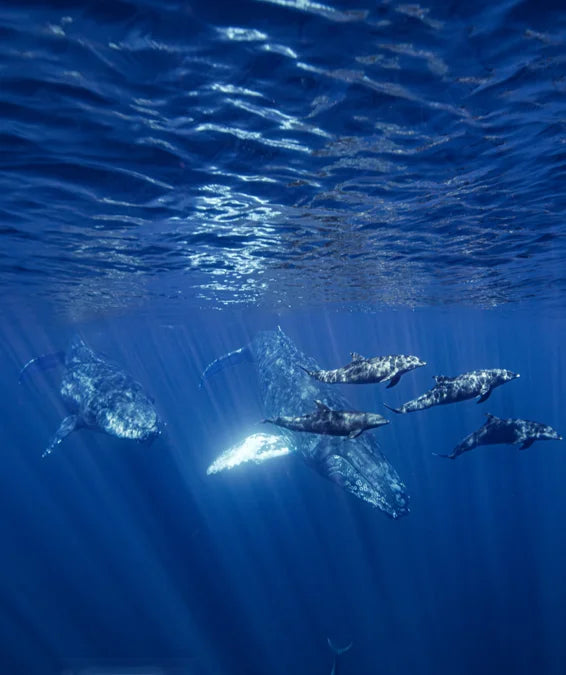 Tạp Chí Condé Nast Traveller (UK) Magazine #January / February 2026