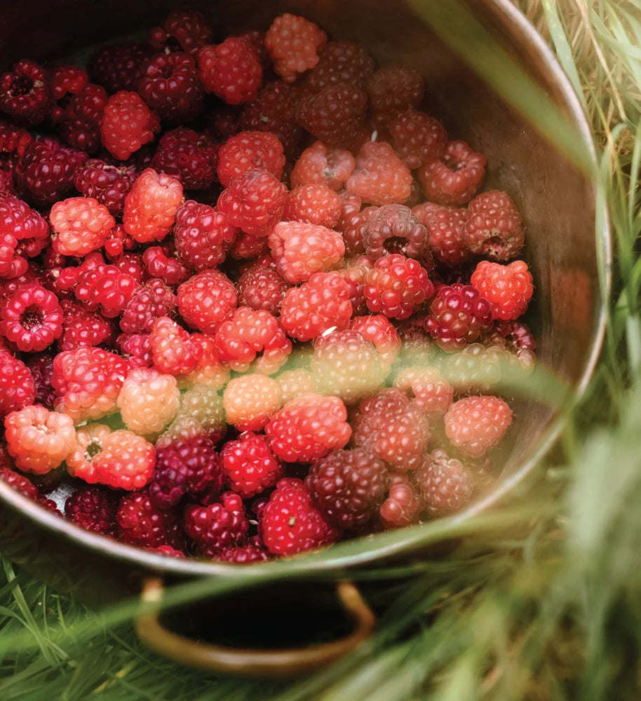 Tạp Chí Country Living (UK) Magazine #August 2025