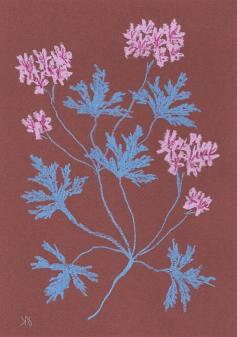 Tạp Chí Country Living (UK) Magazine #November 2025