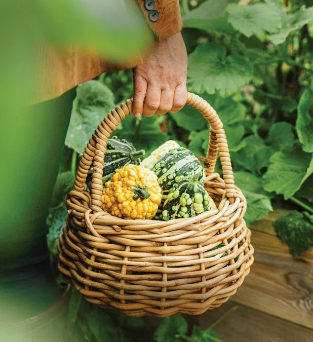 Tạp Chí Country Living (UK) Magazine #October 2025-Kallos