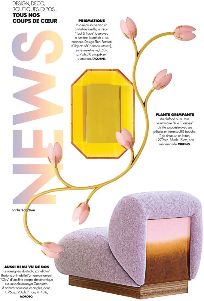 Tạp Chí ELLE Décoration (France) Magazine #Issue 325 / June 2025