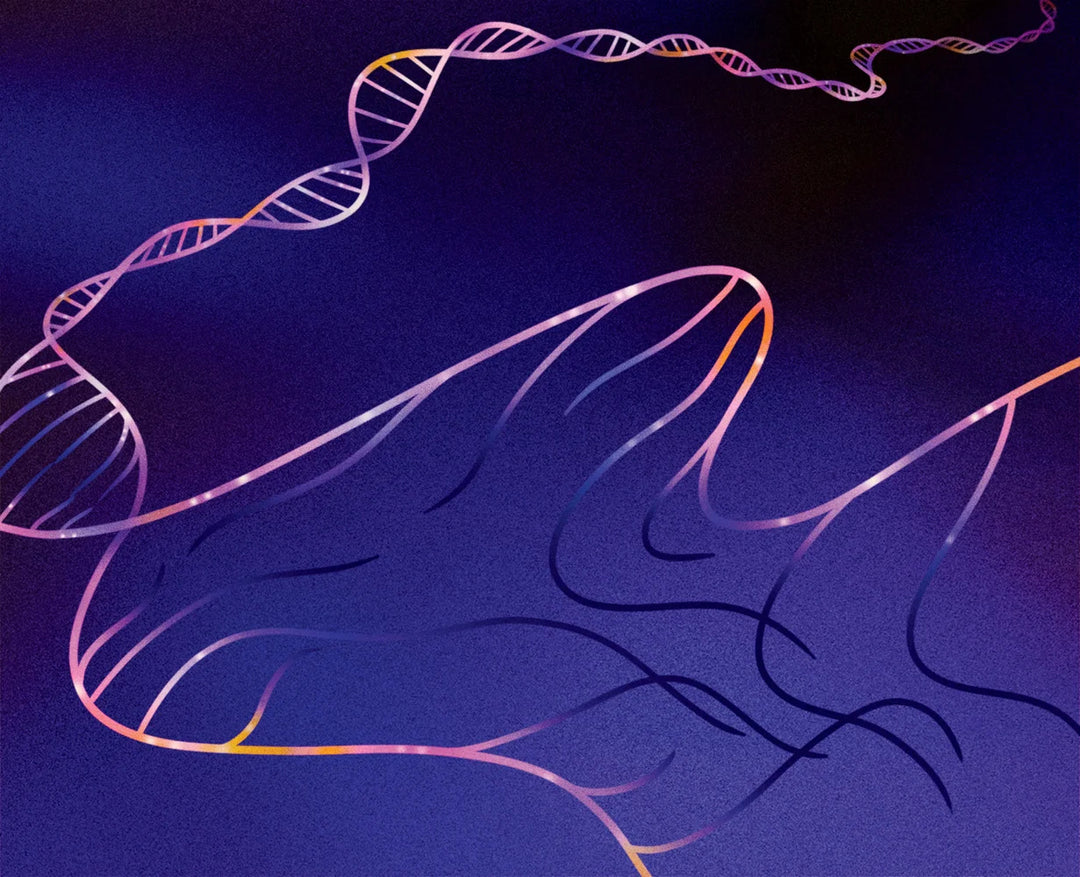 Tạp Chí Fast Company Magazine #Summer 2024 - Kallos Vietnam