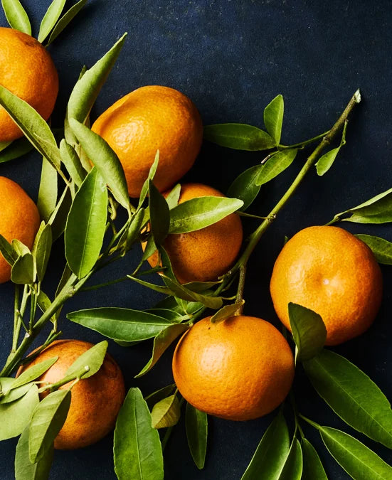 Tạp Chí Food & Wine (USA) Magazine #November 2025