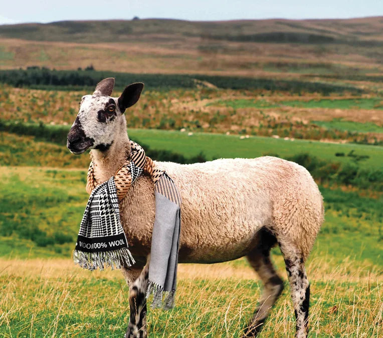 Tạp Chí Homes & Antiques Magazine #Issue 403 - October 2025