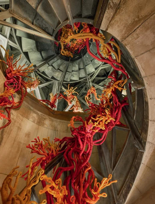 Tạp Chí Marie Claire Maison (France) Magazine #561 - November 2025