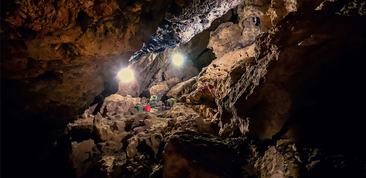 Tạp Chí National Geographic History Magazine #November / December 2025