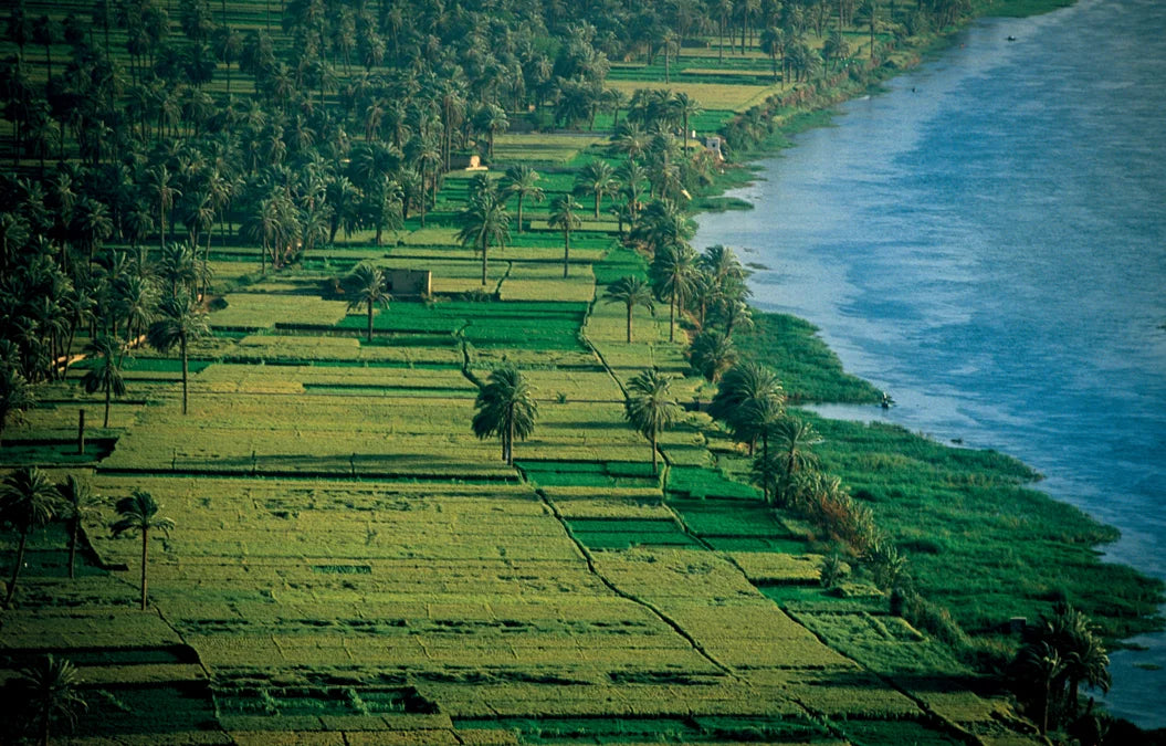 Tạp Chí National Geographic History Magazine #November / December 2025