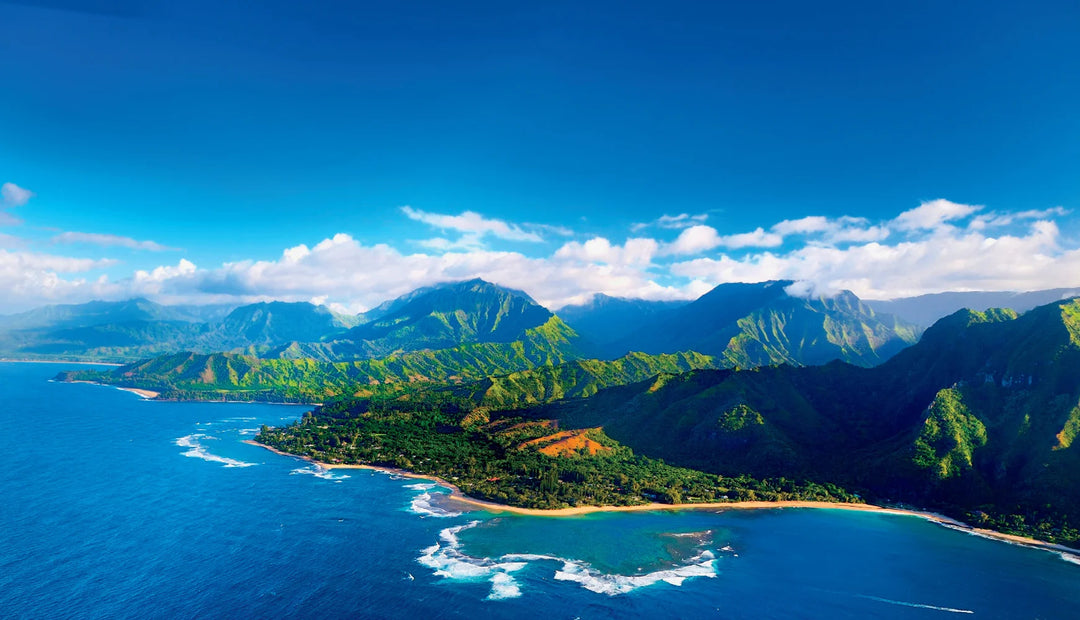 Tạp Chí National Geographic Kids Magazine #August 2025