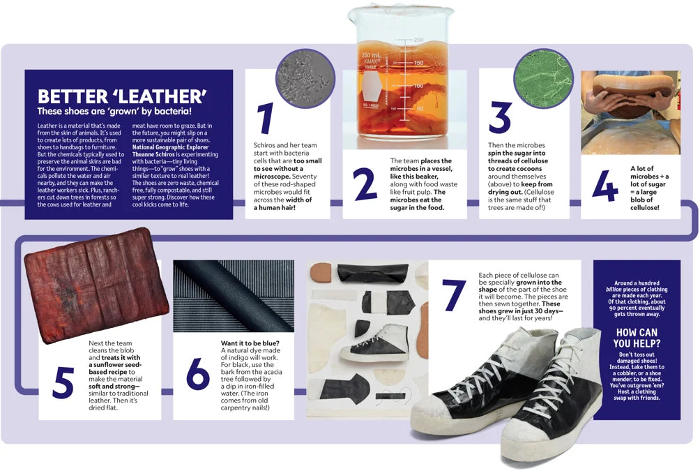 Tạp Chí National Geographic Kids Magazine #December 2025 / January 2026