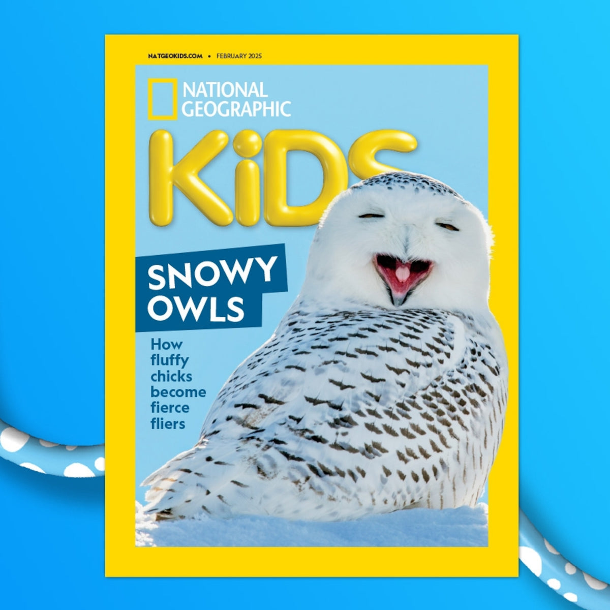 Tạp Chí National Geographic Kids Magazine #February 2025 - Kallos Vietnam