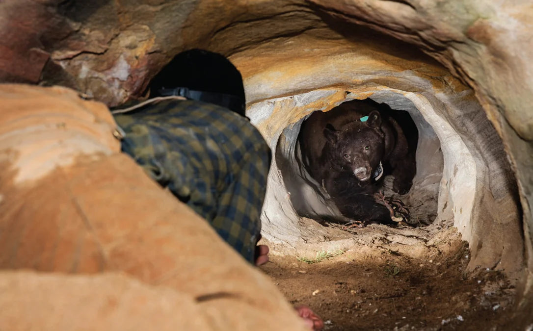 Tạp Chí National Geographic Kids Magazine #November 2025