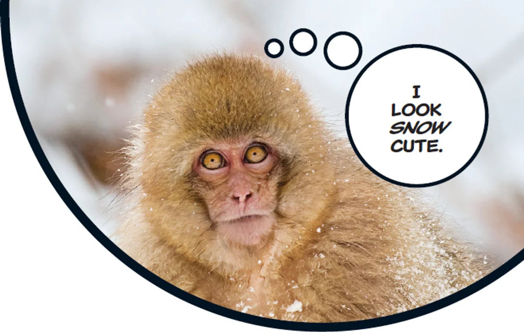 Tạp Chí National Geographic Kids Magazine #November 2025