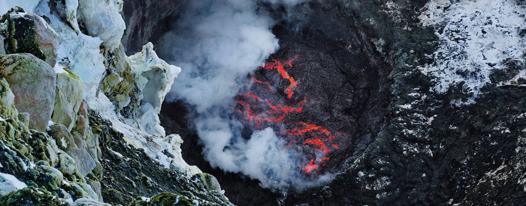 Tạp Chí National Geographic Kids Magazine #November 2025