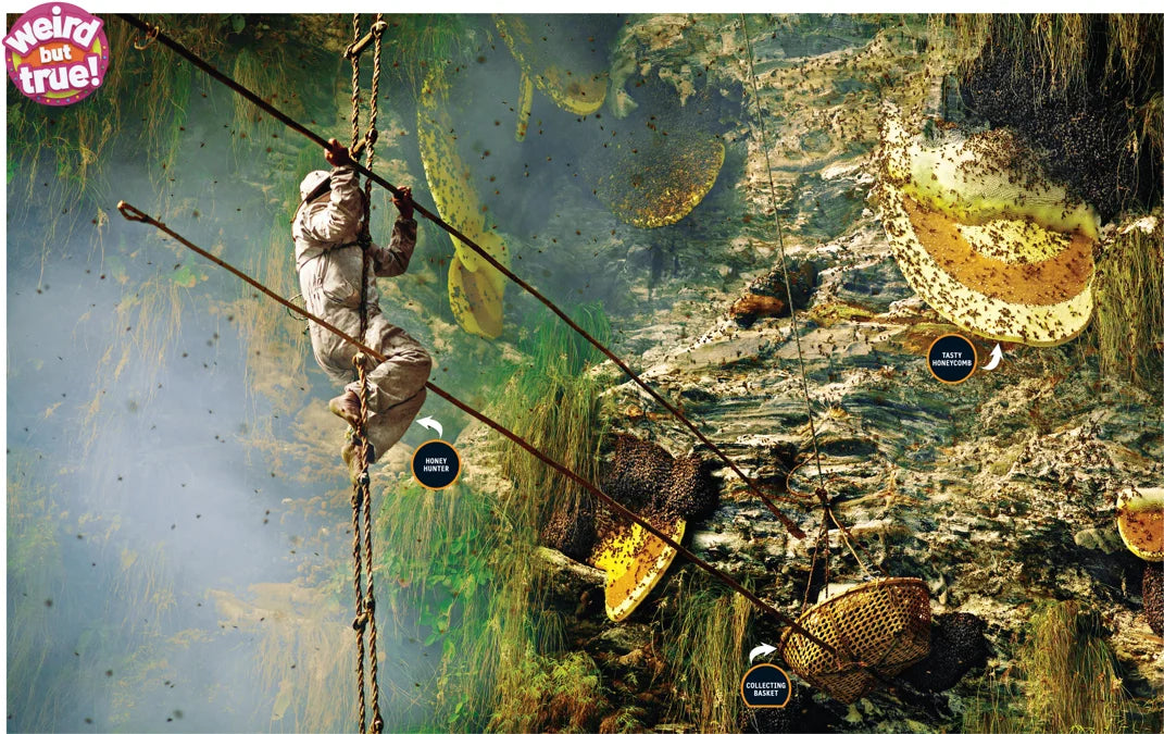 Tạp Chí National Geographic Kids Magazine #September 2025-Kallos
