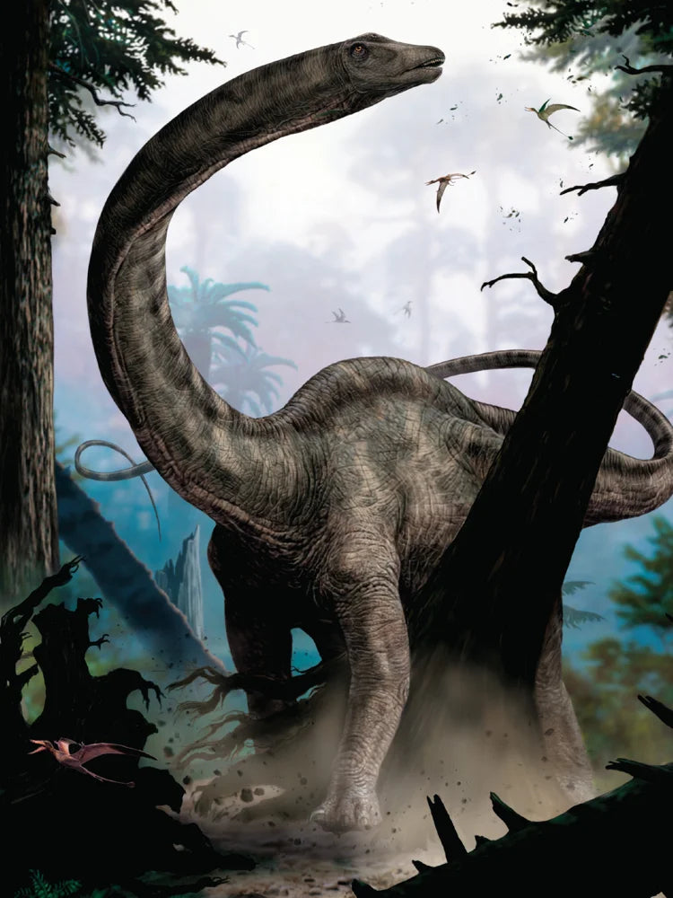 Tạp Chí National Geographic Little Kids Magazine #March / April 2025 - Kallos Vietnam