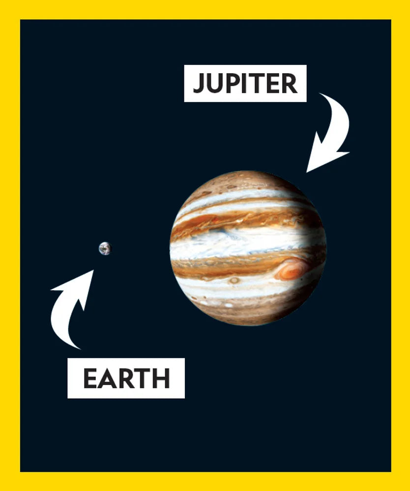 Tạp Chí National Geographic Little Kids Magazine #May / June 2025