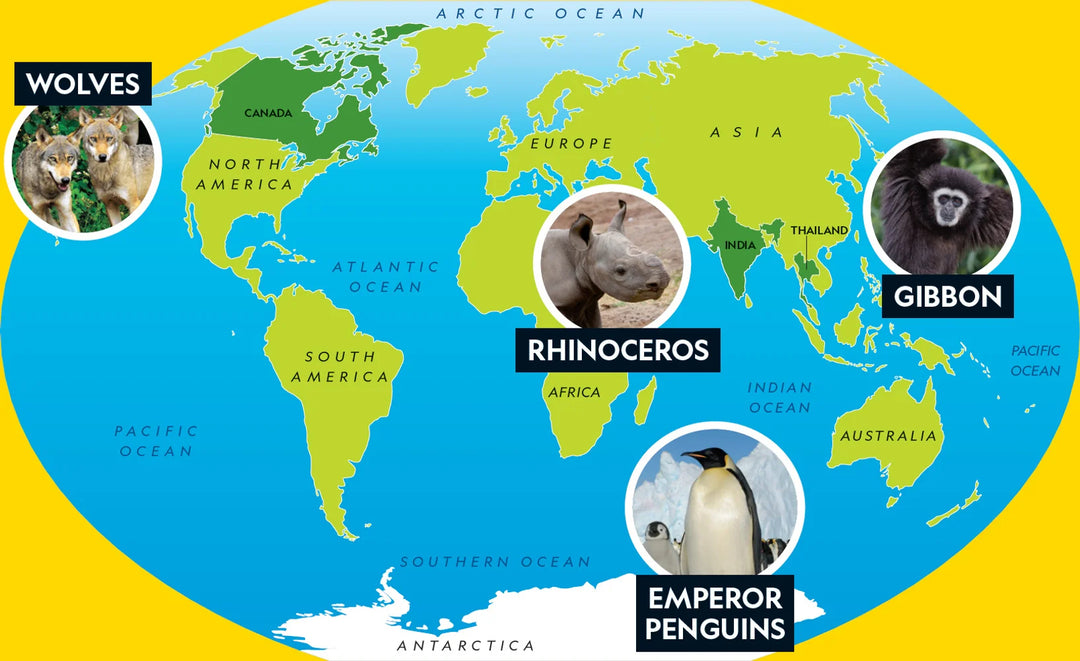 Tạp Chí National Geographic Little Kids Magazine #May / June 2025