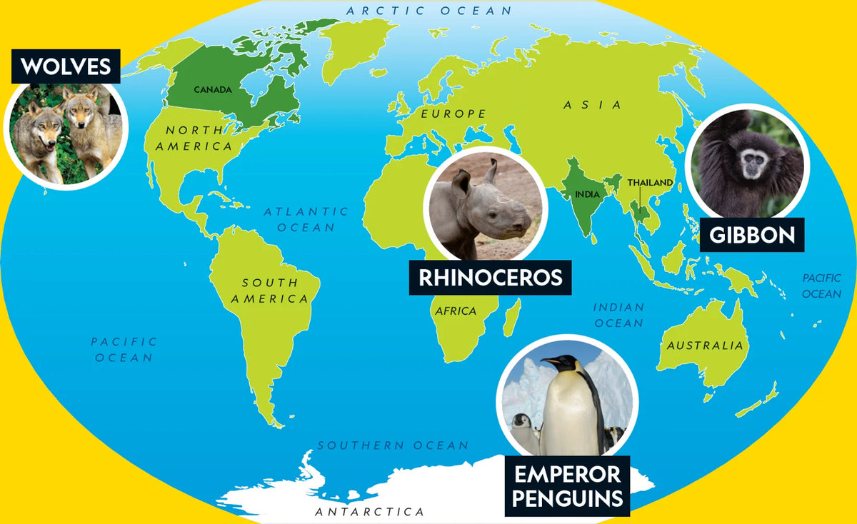 Tạp Chí National Geographic Little Kids Magazine #May / June 2025