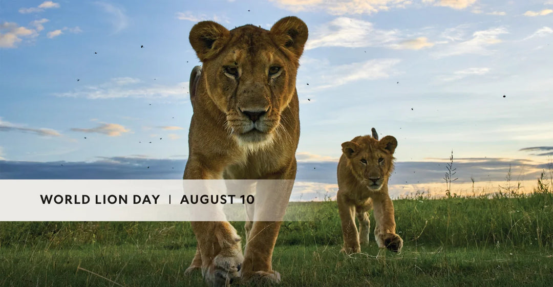 Tạp Chí National Geographic Magazine #August 2025