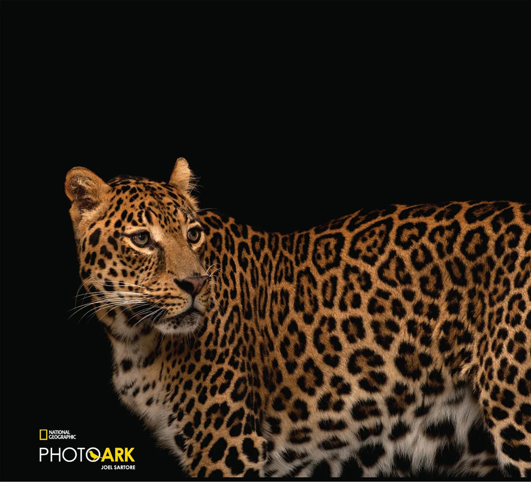 Tạp Chí National Geographic Magazine #August 2025