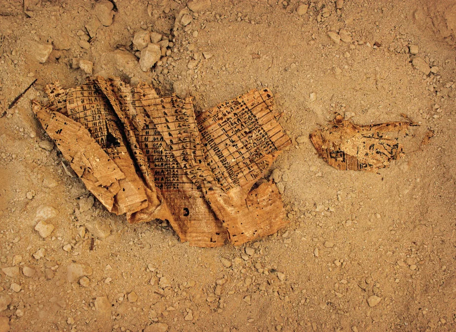 Tạp Chí National Geographic Magazine #December 2025