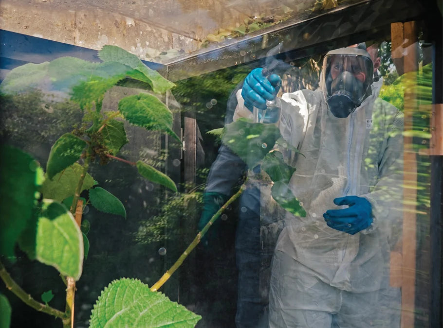 Tạp Chí National Geographic Magazine #November 2025