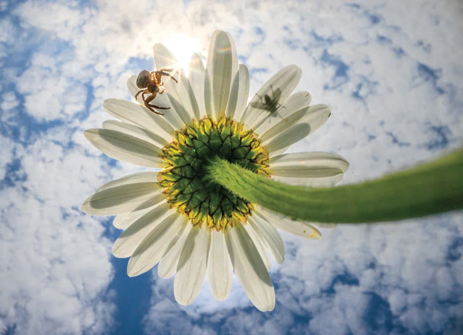 Tạp Chí National Geographic Magazine #October 2025