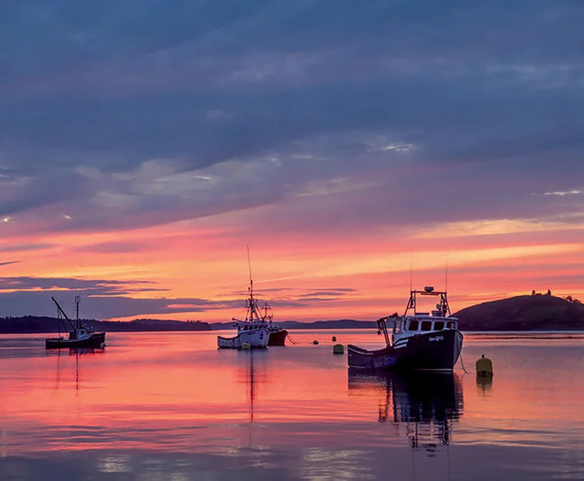 Tạp Chí National Geographic Magazine #October 2025