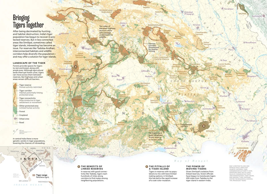 Tạp Chí National Geographic Magazine #October 2025