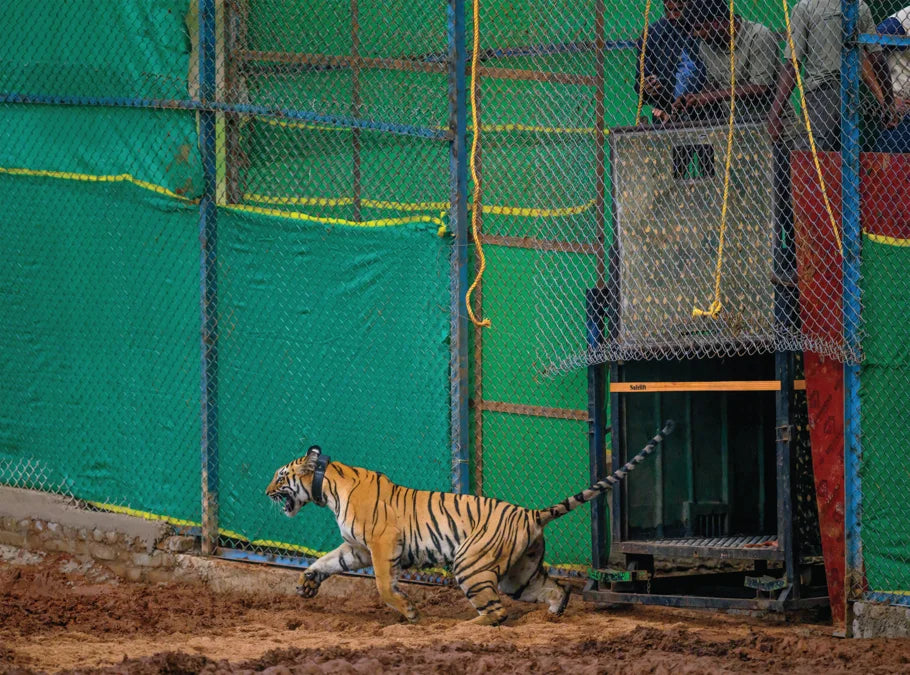 Tạp Chí National Geographic Magazine #October 2025