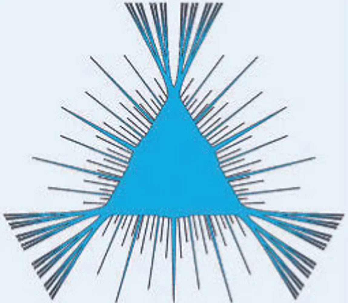 Tạp Chí New Scientist Magazine #March 15, 2025 - Kallos Vietnam