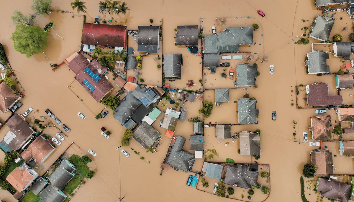 Tạp Chí Scientific American (USA) Magazine #April 2025 - Kallos Vietnam