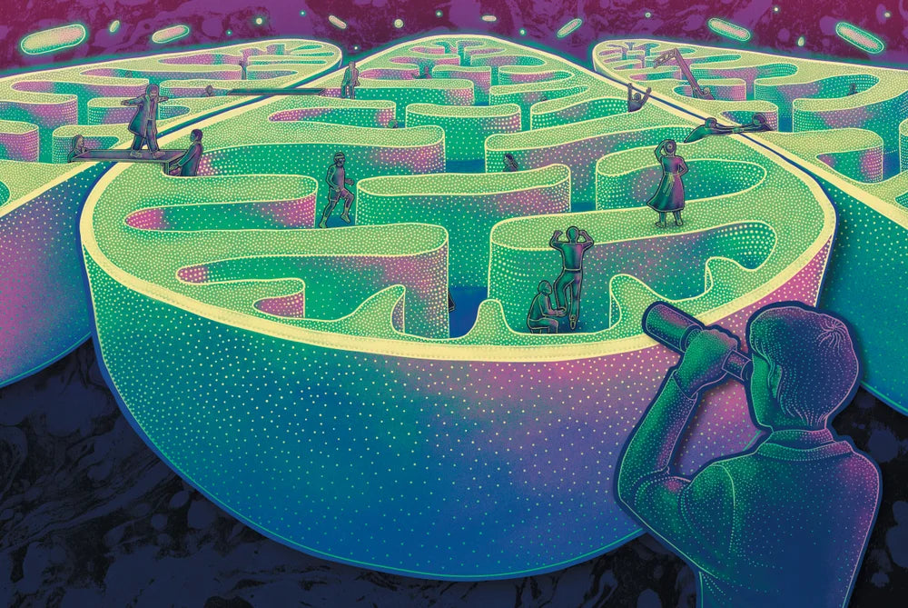 Tạp Chí Scientific American (USA) Magazine #June 2025-Kallos