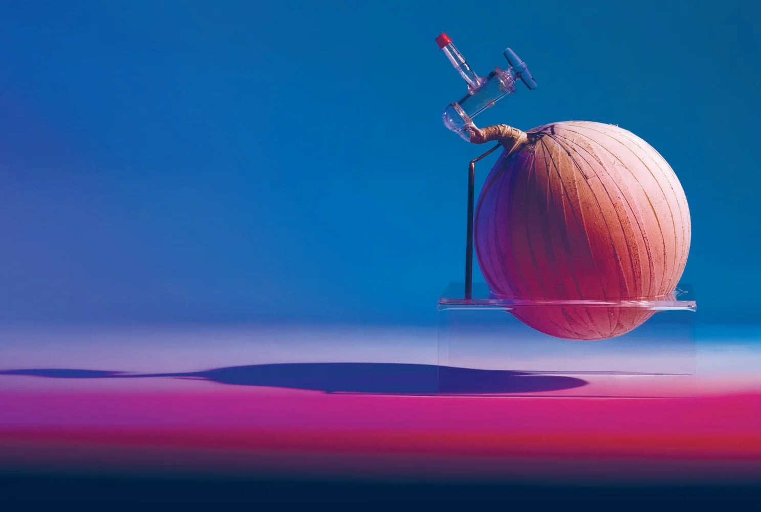 Tạp Chí Smithsonian (USA) Magazine #June 2025-Kallos