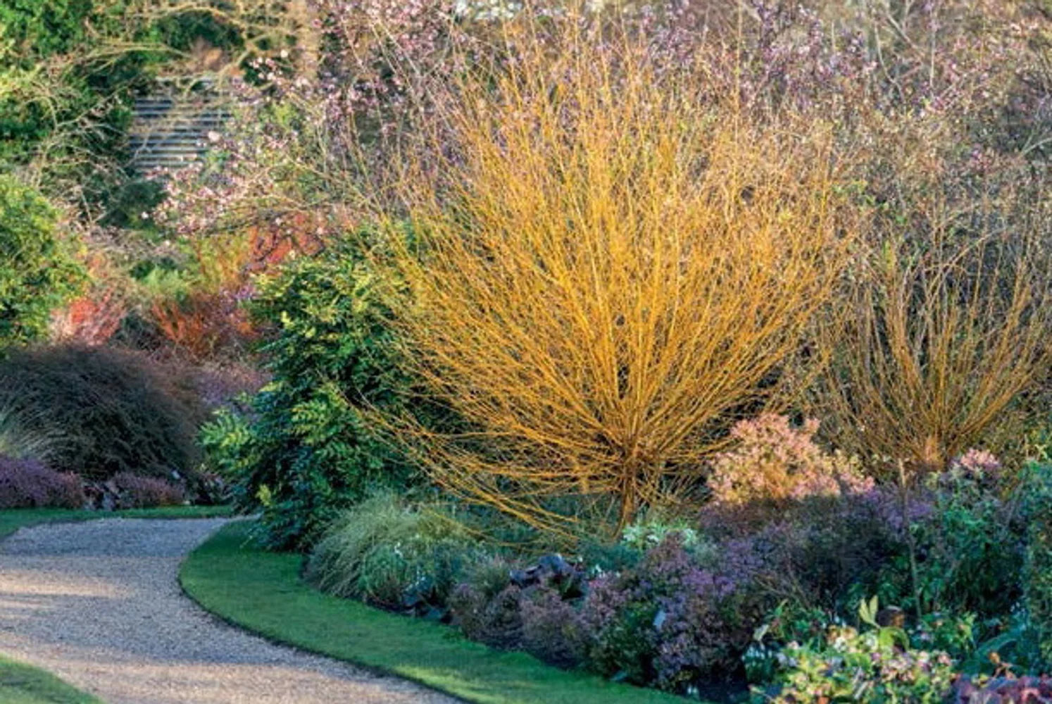 Tạp Chí The English Garden Magazine #March 2025 - Kallos Vietnam