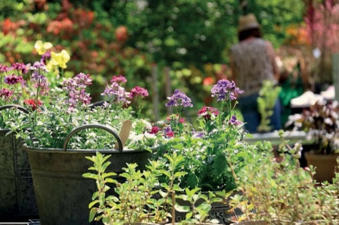 Tạp Chí The English Garden Magazine #May 2025