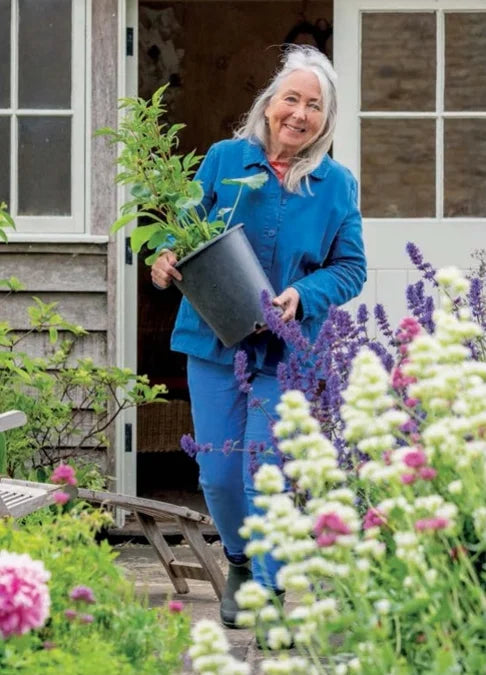 Tạp Chí The English Garden (UK) Magazine #January 2026-Kallos