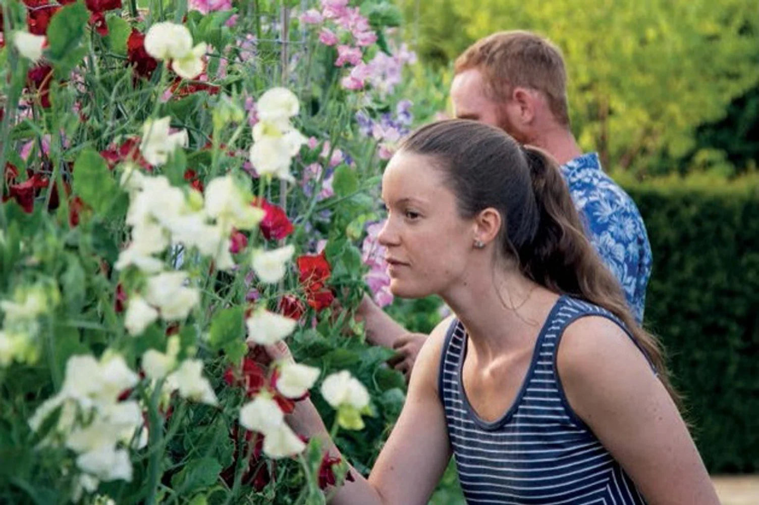 Tạp Chí The English Garden (UK) Magazine #June 2025-Kallos