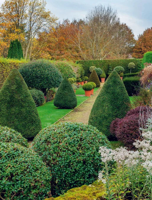 Tạp Chí The English Garden (UK) Magazine #November 2025-Kallos