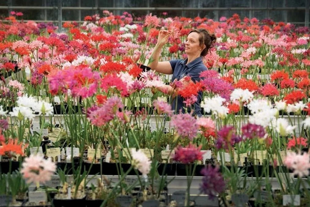 Tạp Chí The English Garden (UK) Magazine #October 2025