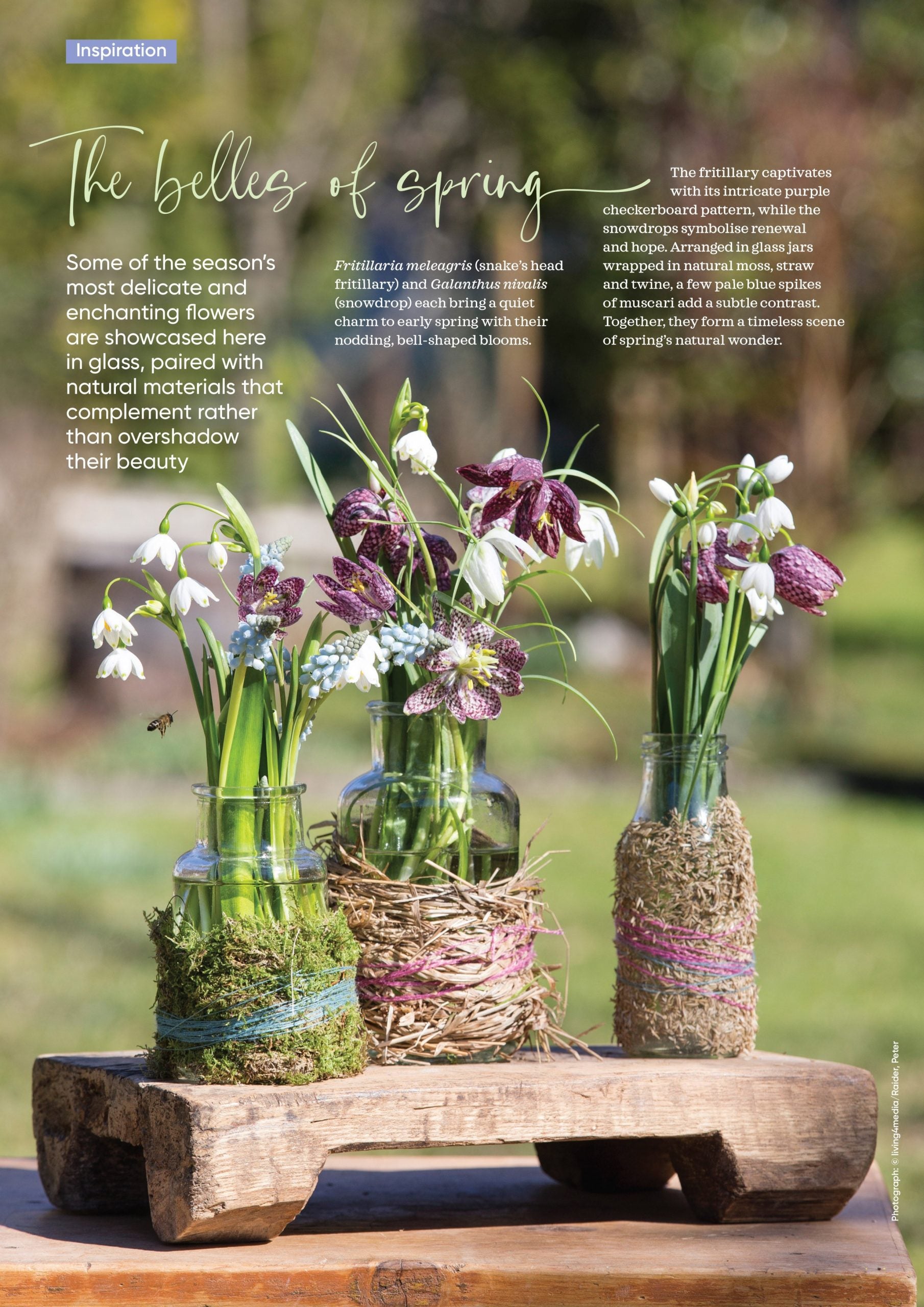 Tạp Chí The Flower Arranger Magazine #Spring 2025 - Kallos Vietnam